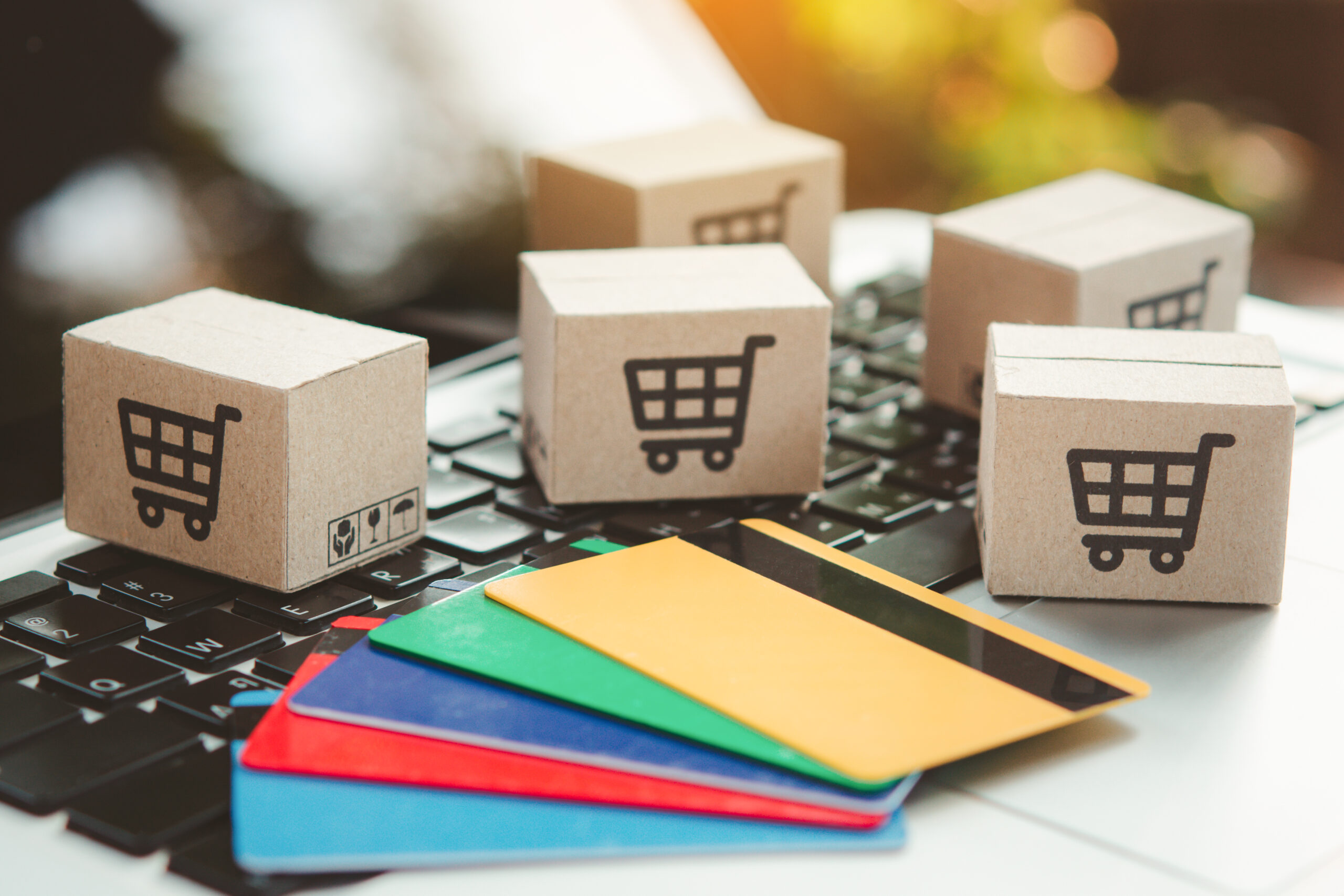Ecommerce Development