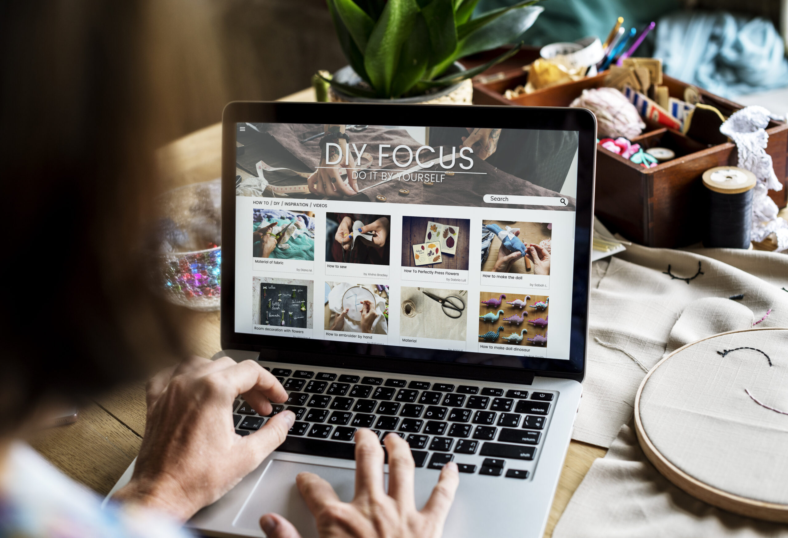 shopify expert usa